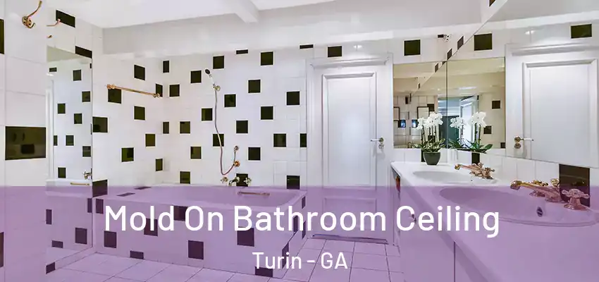 Mold On Bathroom Ceiling Turin - GA