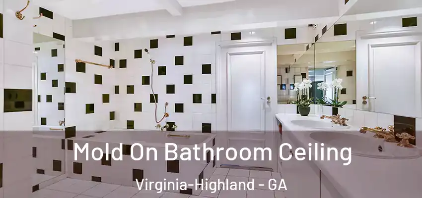 Mold On Bathroom Ceiling Virginia-Highland - GA