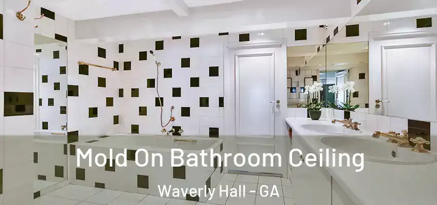 Mold On Bathroom Ceiling Waverly Hall - GA