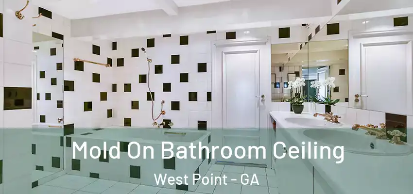 Mold On Bathroom Ceiling West Point - GA
