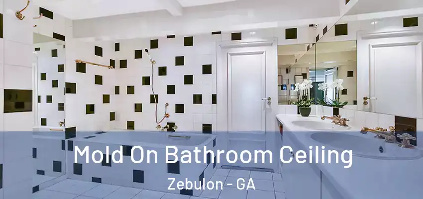  Mold On Bathroom Ceiling Zebulon - GA