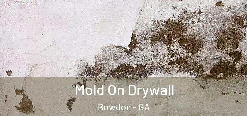 Mold On Drywall Bowdon - GA