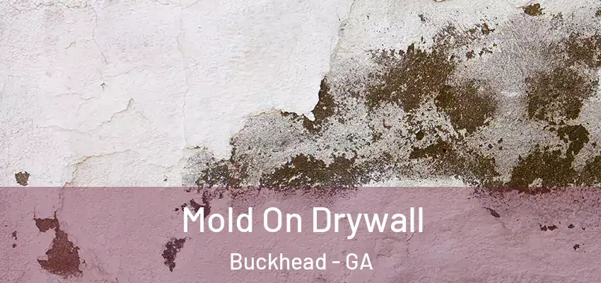Mold On Drywall Buckhead - GA