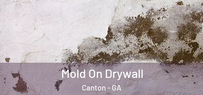 Mold On Drywall Canton - GA
