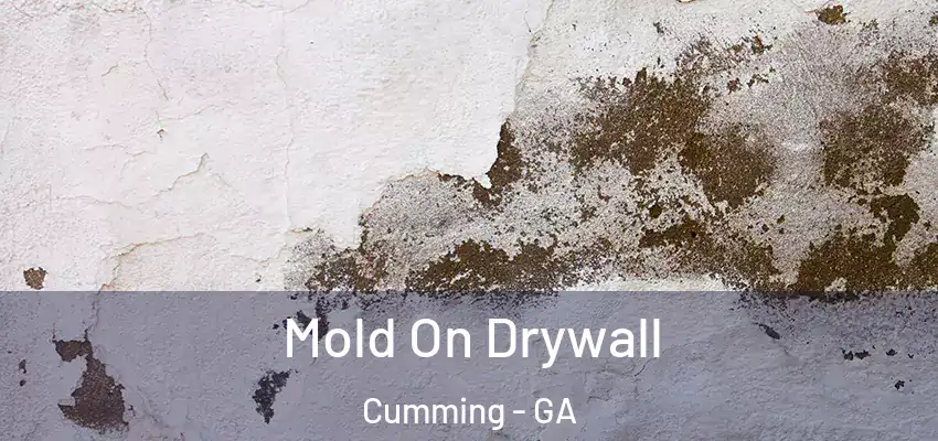 Mold On Drywall Cumming - GA