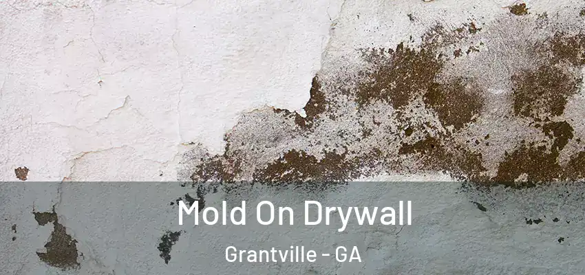  Mold On Drywall Grantville - GA