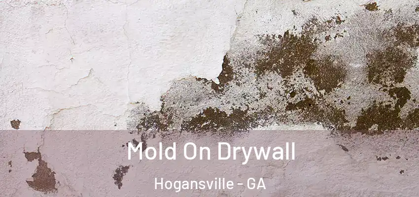 Mold On Drywall Hogansville - GA