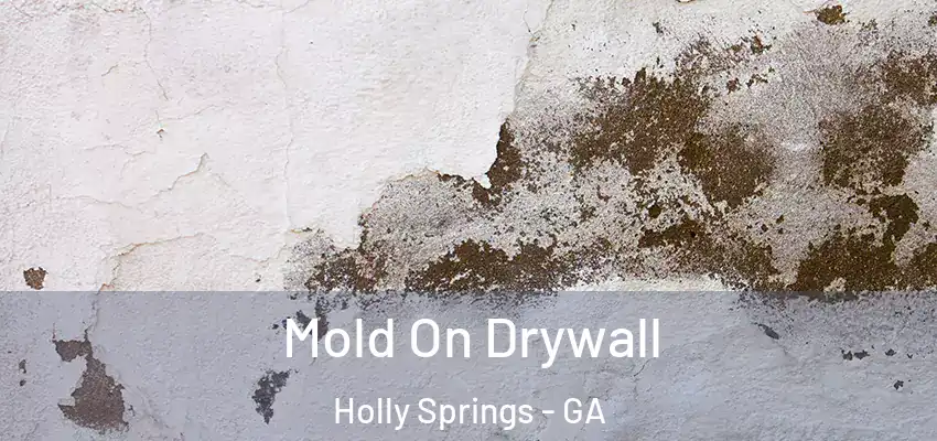 Mold On Drywall Holly Springs - GA