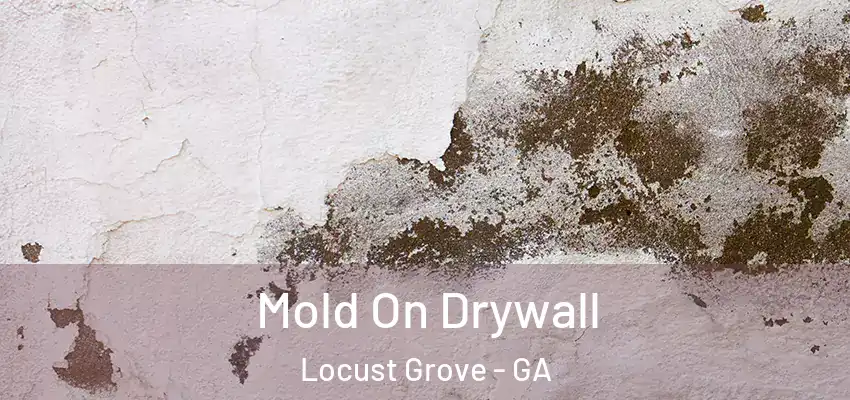 Mold On Drywall Locust Grove - GA