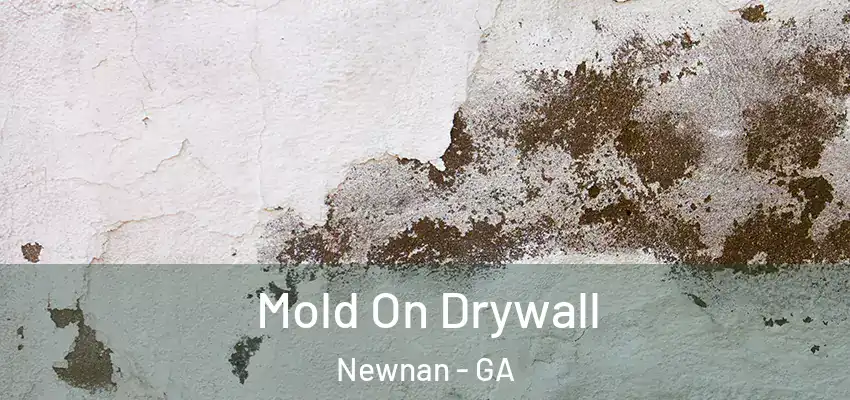  Mold On Drywall Newnan - GA