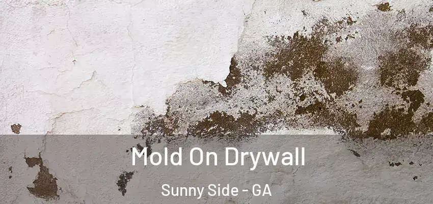 Mold On Drywall Sunny Side - GA