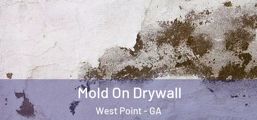 Mold On Drywall West Point - GA