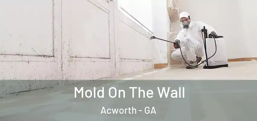 Mold On The Wall Acworth - GA
