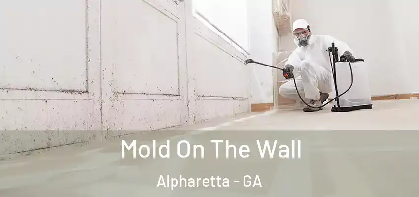 Mold On The Wall Alpharetta - GA