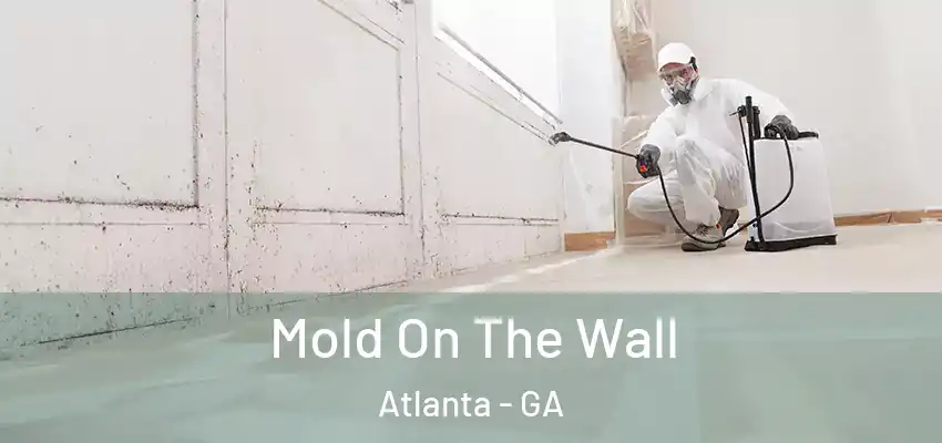 Mold On The Wall Atlanta - GA