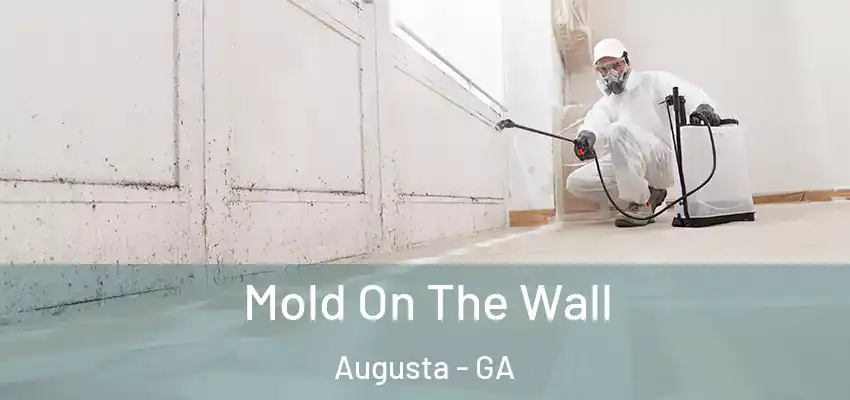 Mold On The Wall Augusta - GA