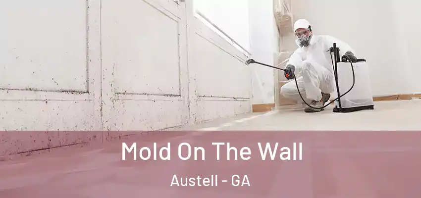  Mold On The Wall Austell - GA