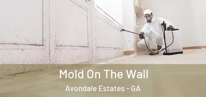 Mold On The Wall Avondale Estates - GA