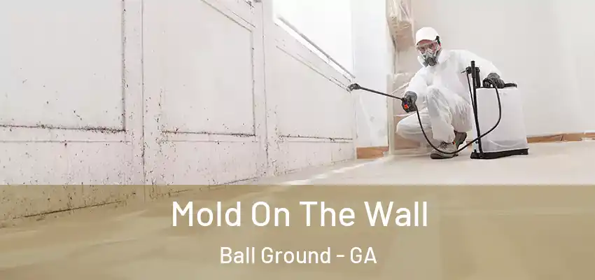  Mold On The Wall Ball Ground - GA