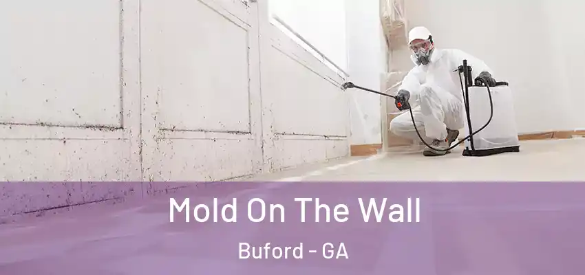 Mold On The Wall Buford - GA