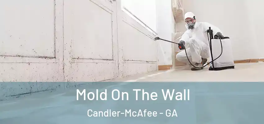 Mold On The Wall Candler-McAfee - GA