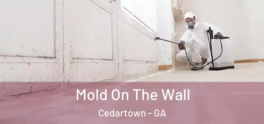 Mold On The Wall Cedartown - GA