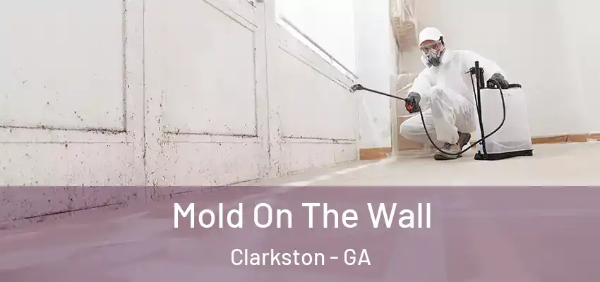  Mold On The Wall Clarkston - GA