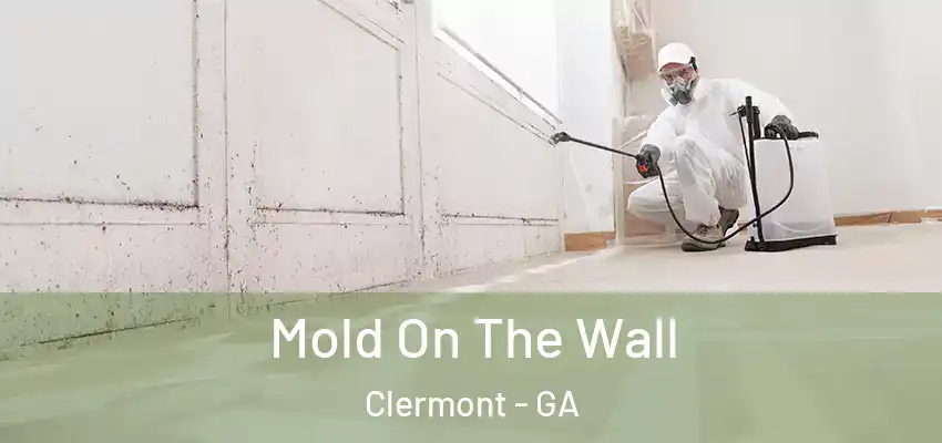 Mold On The Wall Clermont - GA