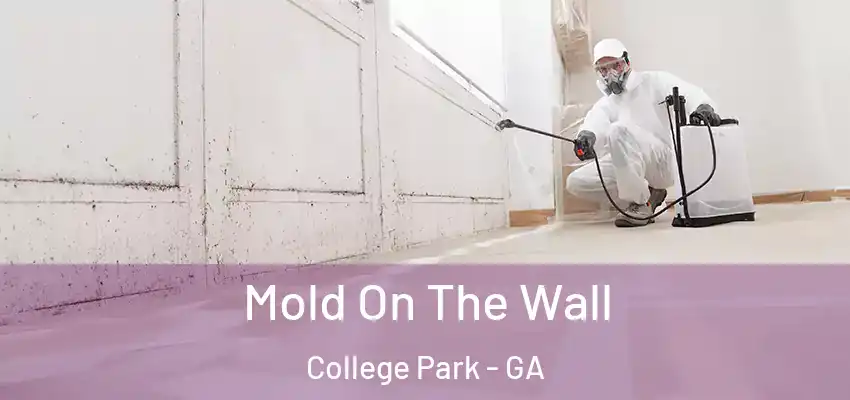 Mold On The Wall College Park - GA