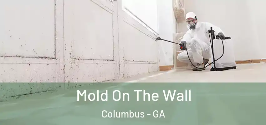 Mold On The Wall Columbus - GA