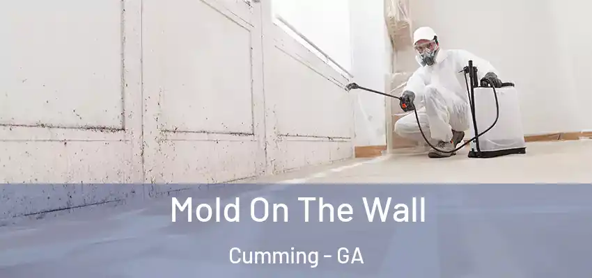 Mold On The Wall Cumming - GA