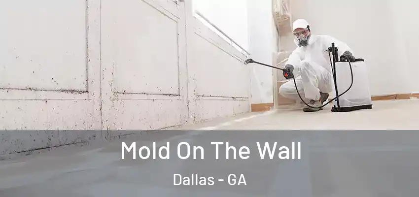 Mold On The Wall Dallas - GA