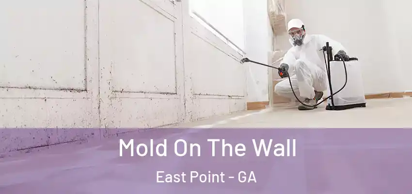 Mold On The Wall East Point - GA