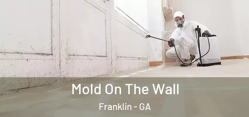 Mold On The Wall Franklin - GA