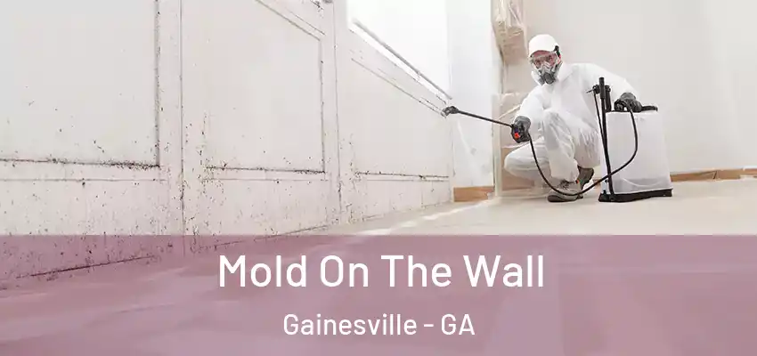 Mold On The Wall Gainesville - GA