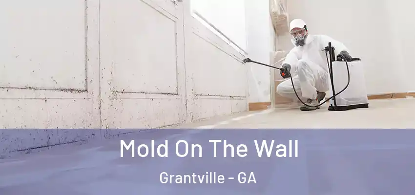 Mold On The Wall Grantville - GA