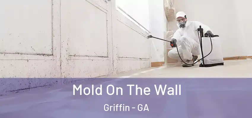 Mold On The Wall Griffin - GA