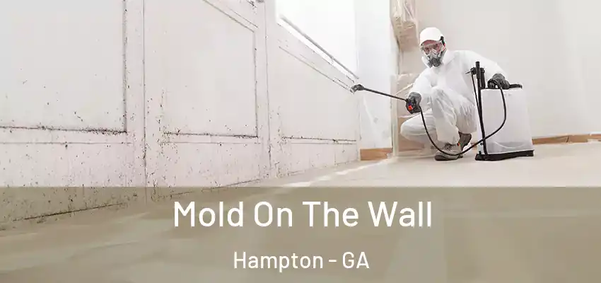 Mold On The Wall Hampton - GA