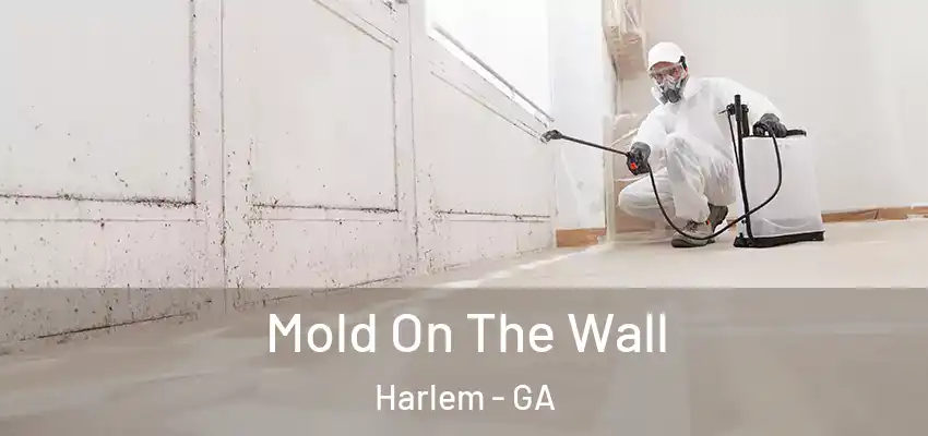 Mold On The Wall Harlem - GA