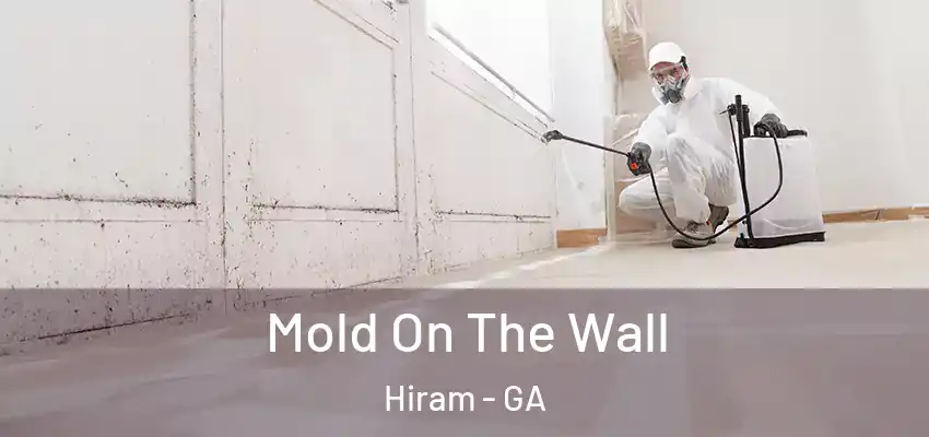 Mold On The Wall Hiram - GA