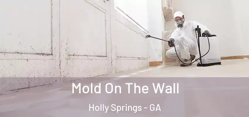 Mold On The Wall Holly Springs - GA