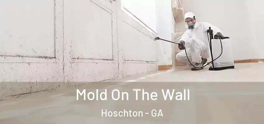 Mold On The Wall Hoschton - GA