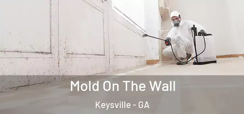 Mold On The Wall Keysville - GA