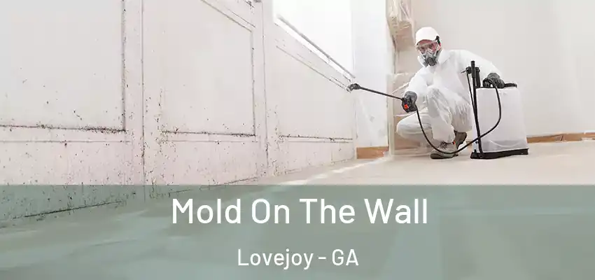 Mold On The Wall Lovejoy - GA
