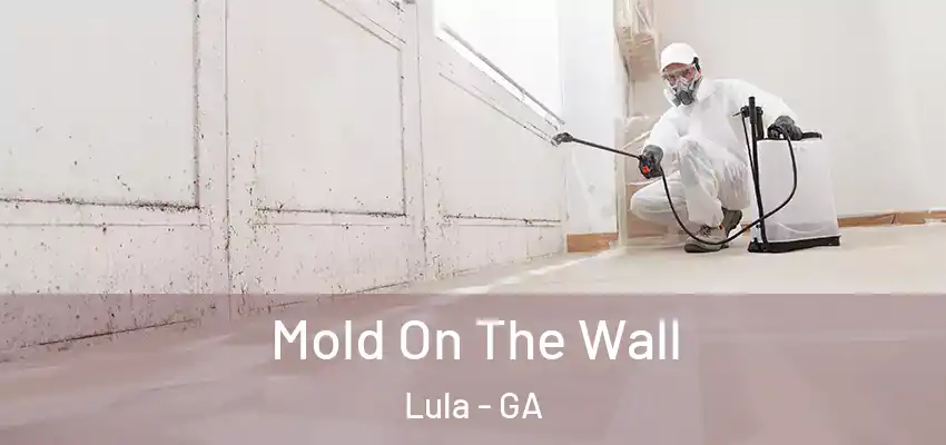 Mold On The Wall Lula - GA