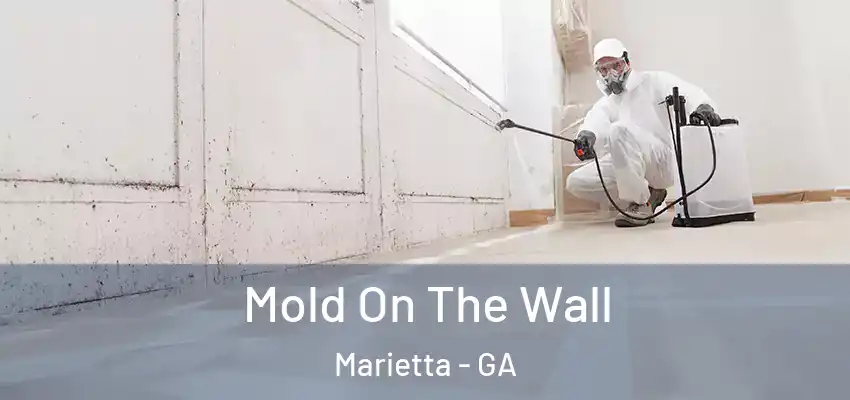 Mold On The Wall Marietta - GA