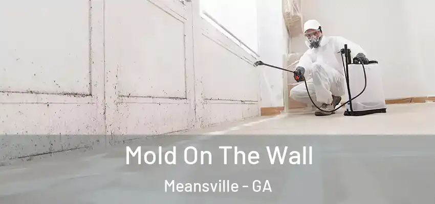 Mold On The Wall Meansville - GA