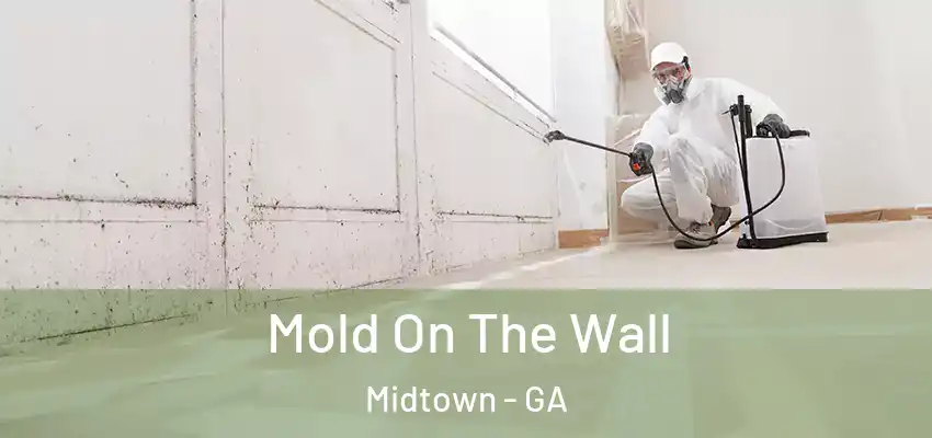  Mold On The Wall Midtown - GA