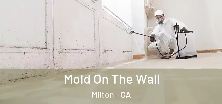Mold On The Wall Milton - GA