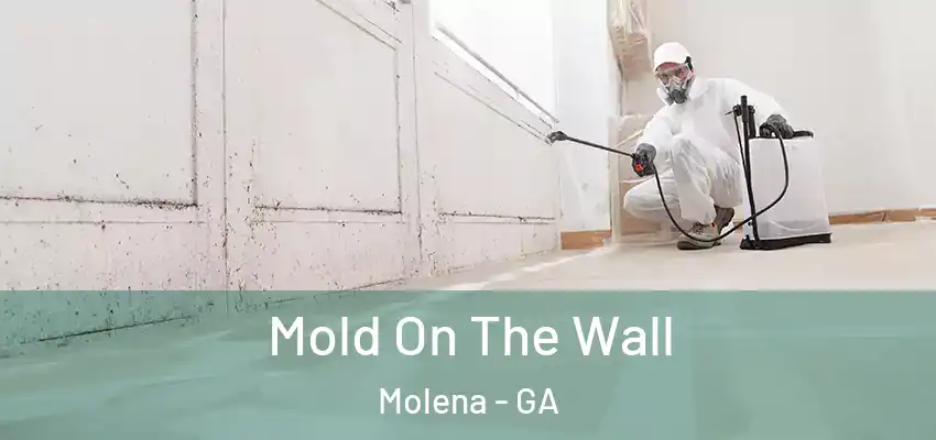 Mold On The Wall Molena - GA